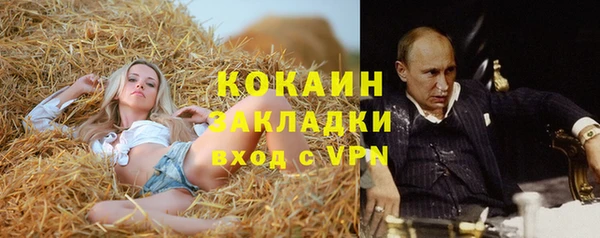 spice Кукмор