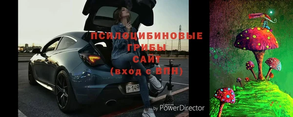 гашик Костерёво