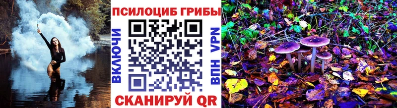 Псилоцибиновые грибы GOLDEN TEACHER Медвежьегорск